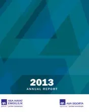 2013 Annual Report