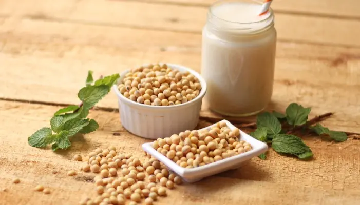 Soya proteinin faydaları
