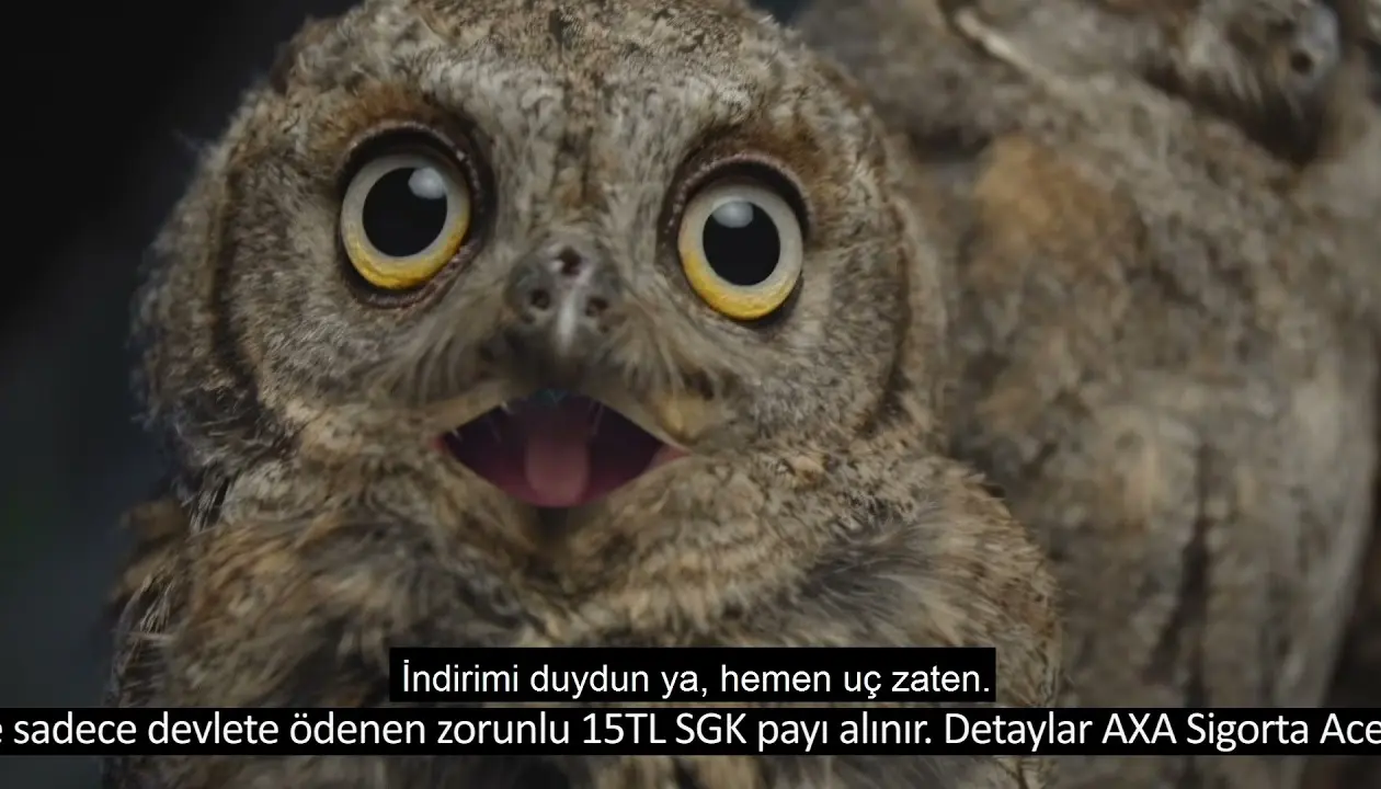 AXA Sülale İndirimini duyanlar uçarak geldiii...