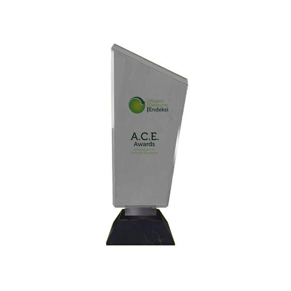 A.C.E Ödülü