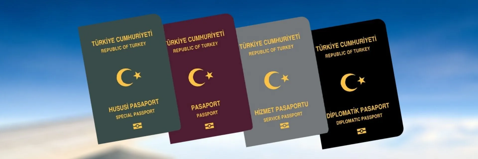 Pasaport Çeşitleri
