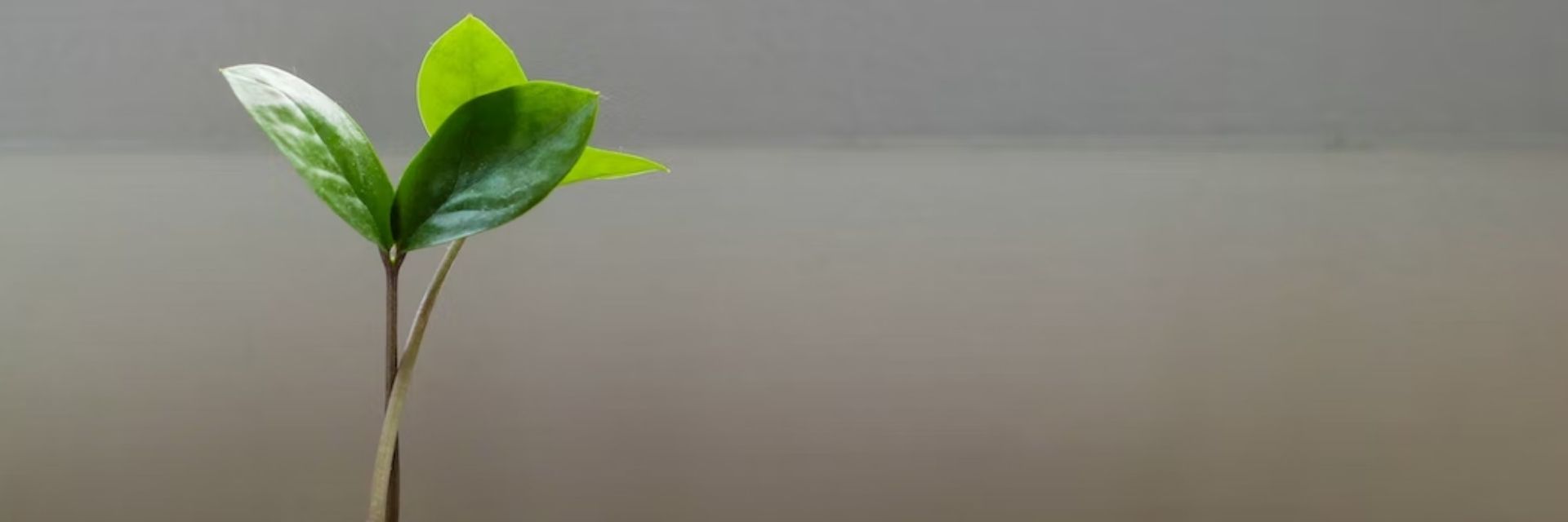 AXA Blog