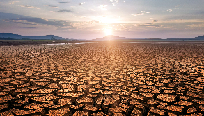 Sigorta Şirketleri için İklim Krizinin Artan Maliyetleri