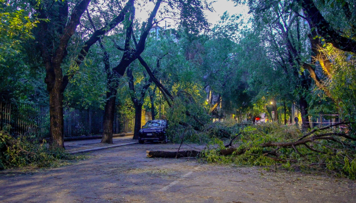 Mücbir Sebep Nedir? Sigortada Mücbir Sebepler
