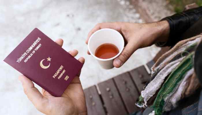 Pasaport Nasıl Alınır? Pasaport Başvurusu Nasıl Yapılır?