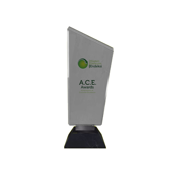A.C.E Ödülü